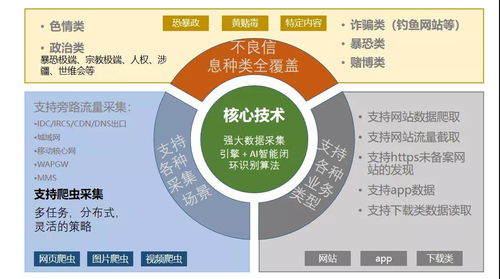 創(chuàng)旗申?yáng)|吉 邊緣計(jì)算與信息安全監(jiān)管在互聯(lián)網(wǎng)信息服務(wù)中的挑戰(zhàn)與機(jī)遇